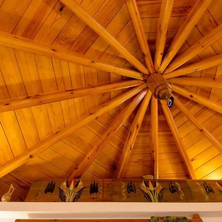 Traditional Windmill-milos Holiday home *