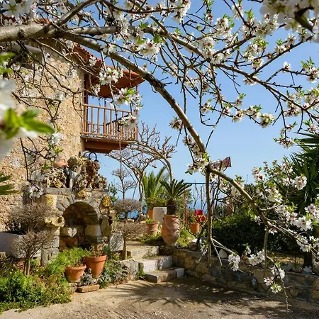 Traditional Windmill-milos Holiday home *