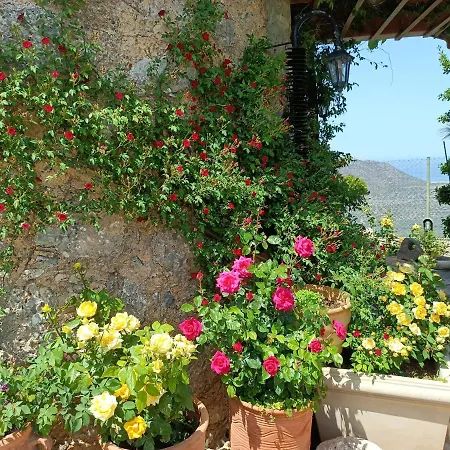 Traditional Windmill-milos Kroustas