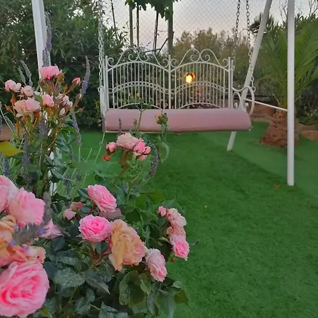 Traditional Windmill-milos *
